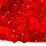 Hvor længe holder et juletræ indenfor?